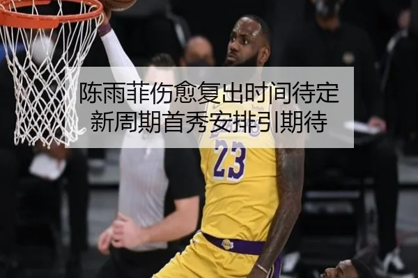 陈雨菲伤愈复出时间待定 新周期首秀安排引期待